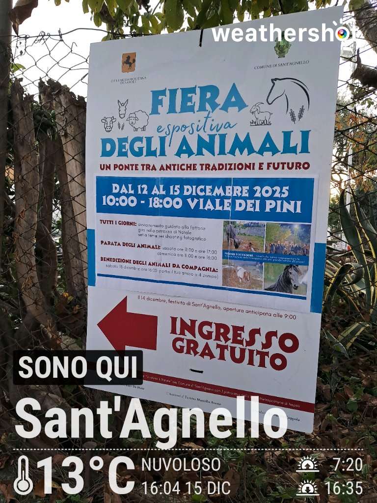 Cloudy weather in Sant'Agnello, 13°C — December 15, 2025 (community photo)