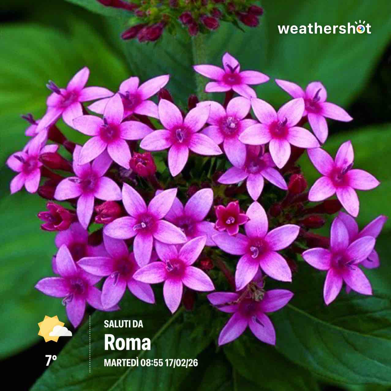 Partly cloudy weather in Roma, 7°C — February 17, 2026 (community photo)