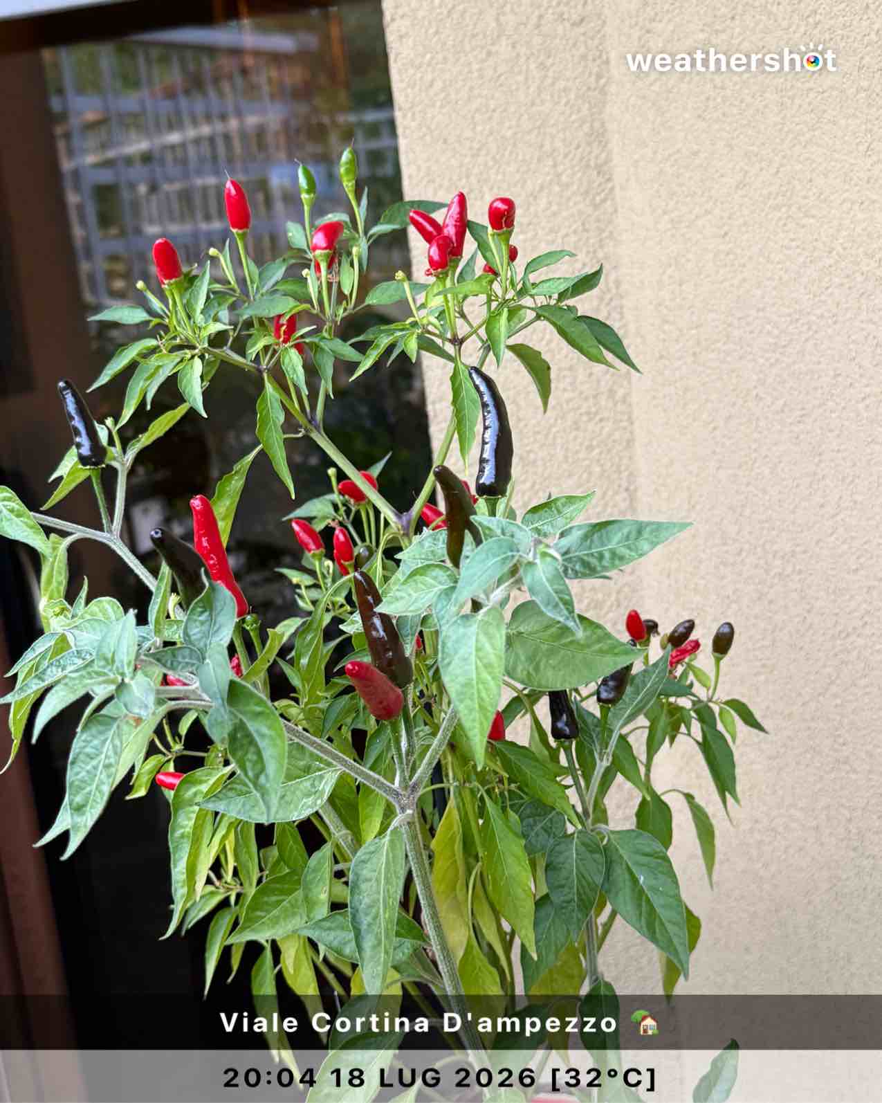 Weather in Roma, 32°C — July 18, 2026 (community photo)