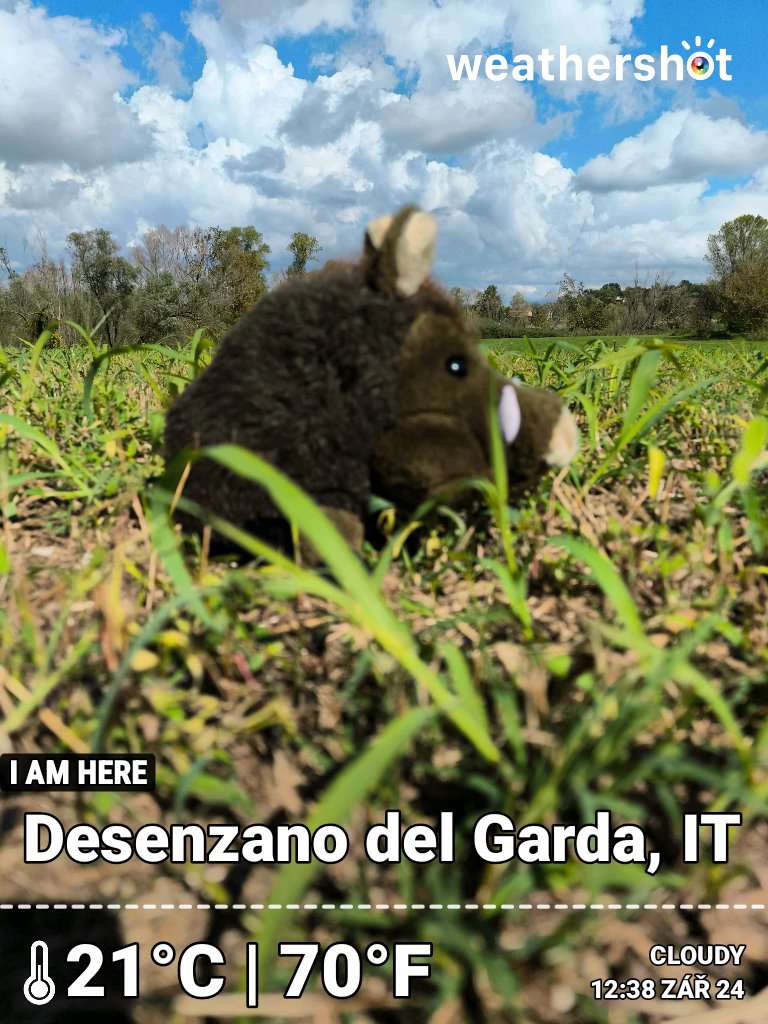 Cloudy weather in Desenzano del Garda, 21°C — September 24, 2025 (community photo)