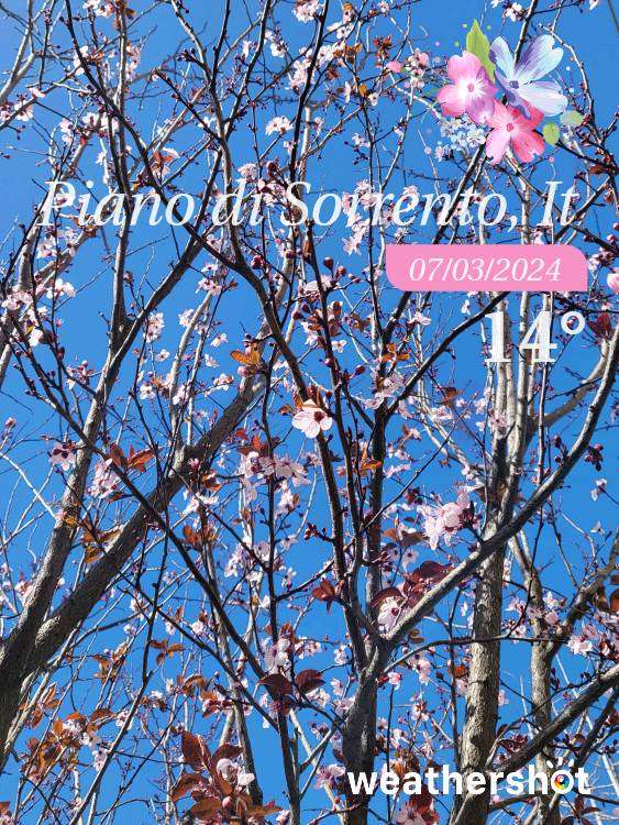 Clear weather in Piano di Sorrento, 11°C — March 7, 2024 (community photo)