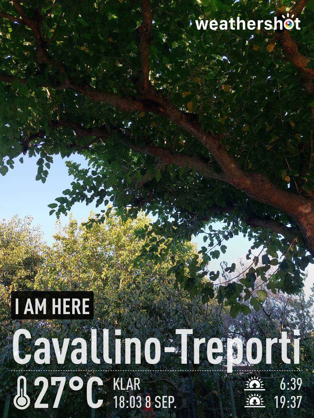 Sunny weather in Ca' Savio, 27°C — September 8, 2023 (community photo)