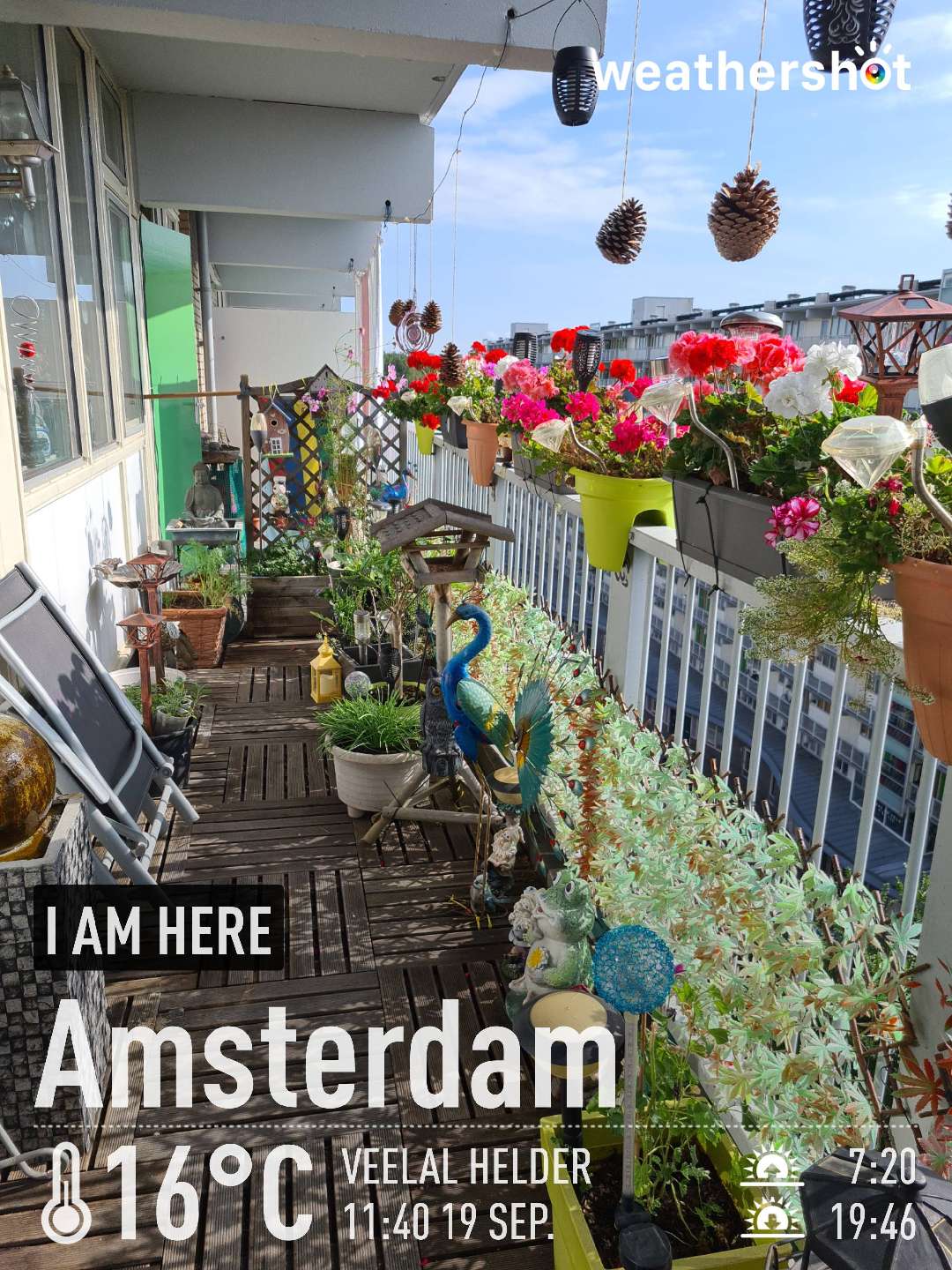Clear weather in Amsterdam, 16°C — September 19, 2021 (community photo)
