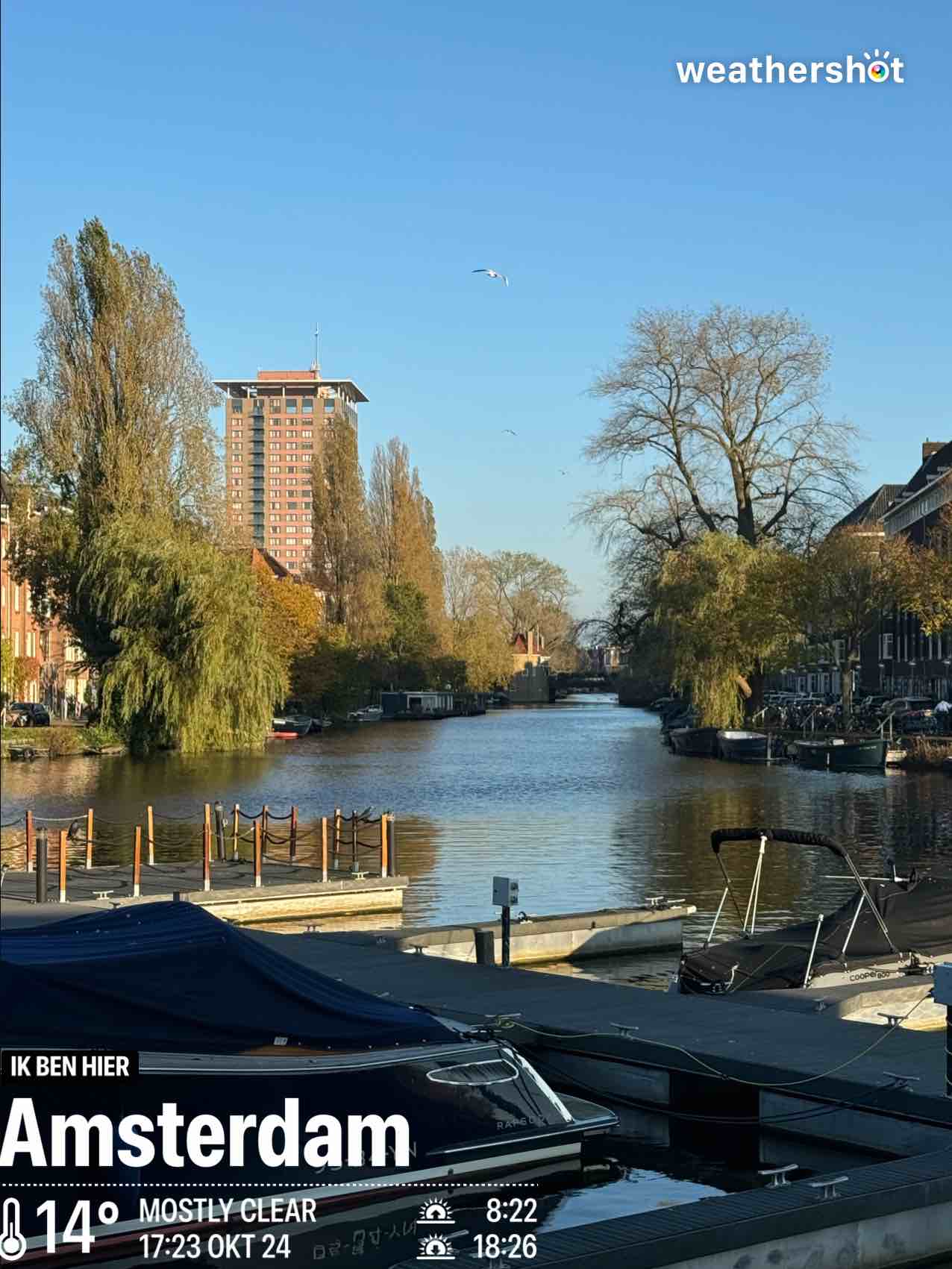 Weather in Amsterdam, 14°C — October 24, 2024 (community photo)