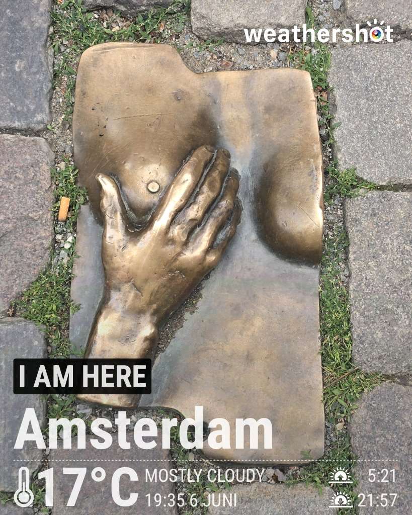 Cloudy weather in Amsterdam, 17°C — June 7, 2026 (community photo)