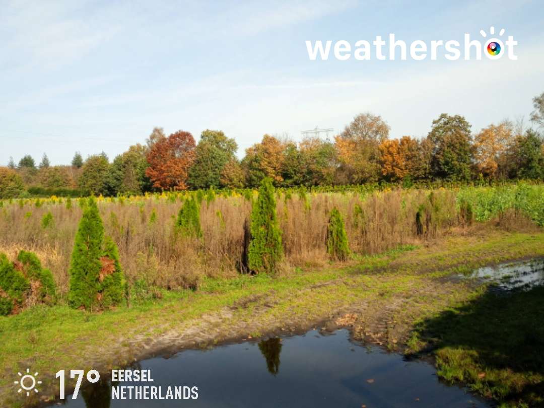 Sunny weather in Eersel, 17°C — October 29, 2021 (community photo)
