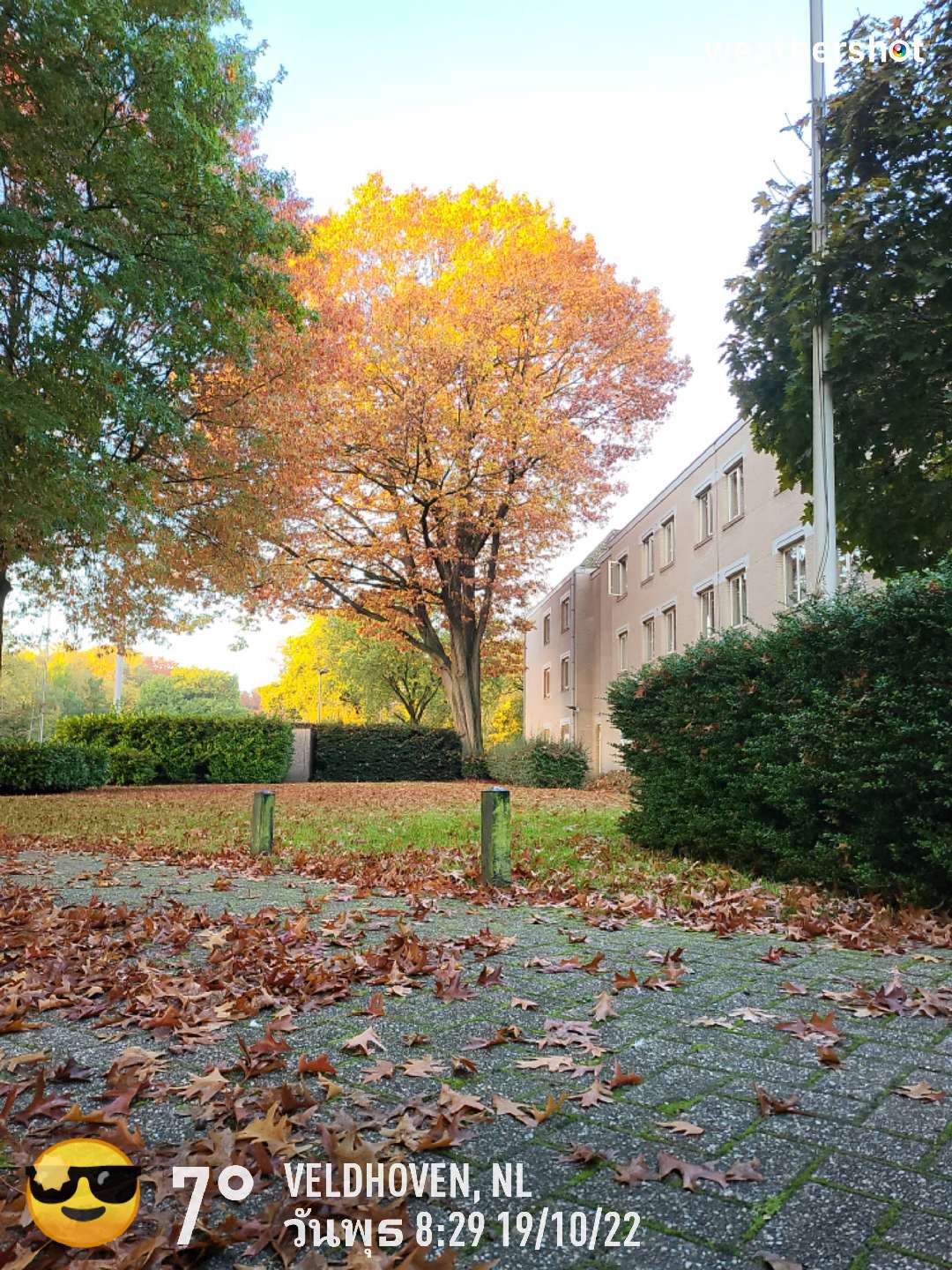 Sunny weather in Veldhoven, 7°C — October 19, 2022 (community photo)