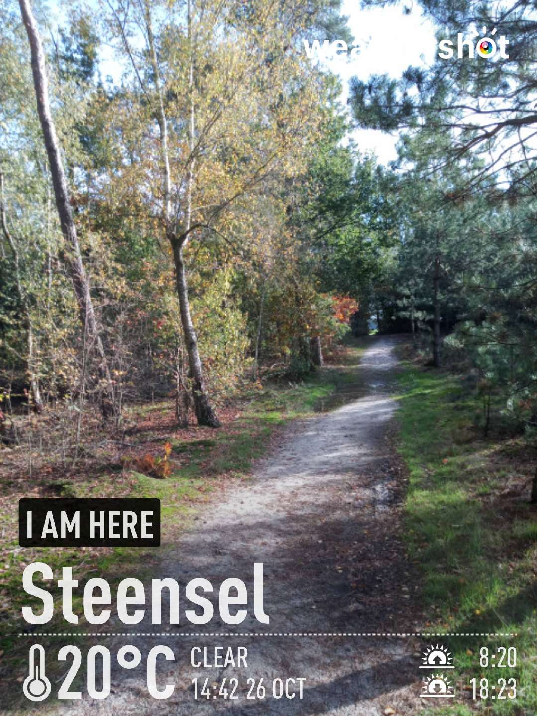 Sunny weather in Steensel, 20°C — October 26, 2022 (community photo)