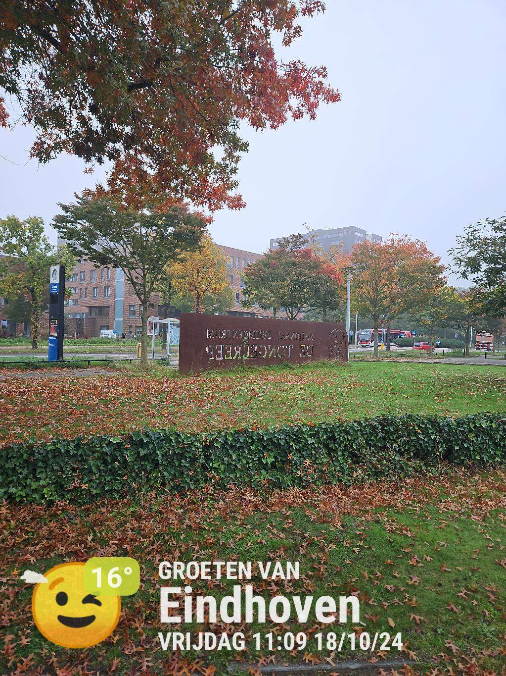 Cloudy weather in Eindhoven, 16°C — October 18, 2024 (community photo)