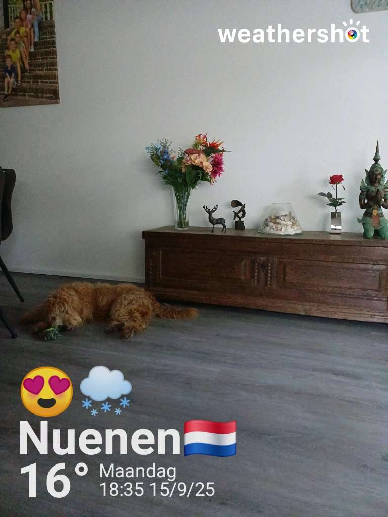 Weather in Nuenen, 16°C — September 15, 2025 (community photo)