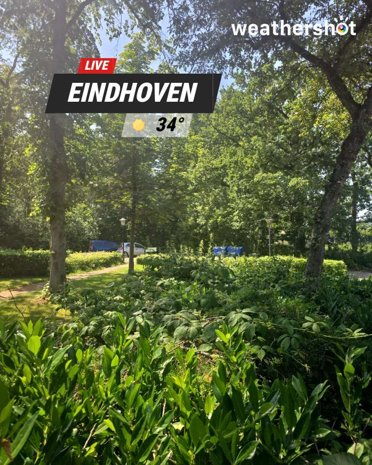 Sunny weather in Eindhoven, 34°C — June 25, 2026 (community photo)