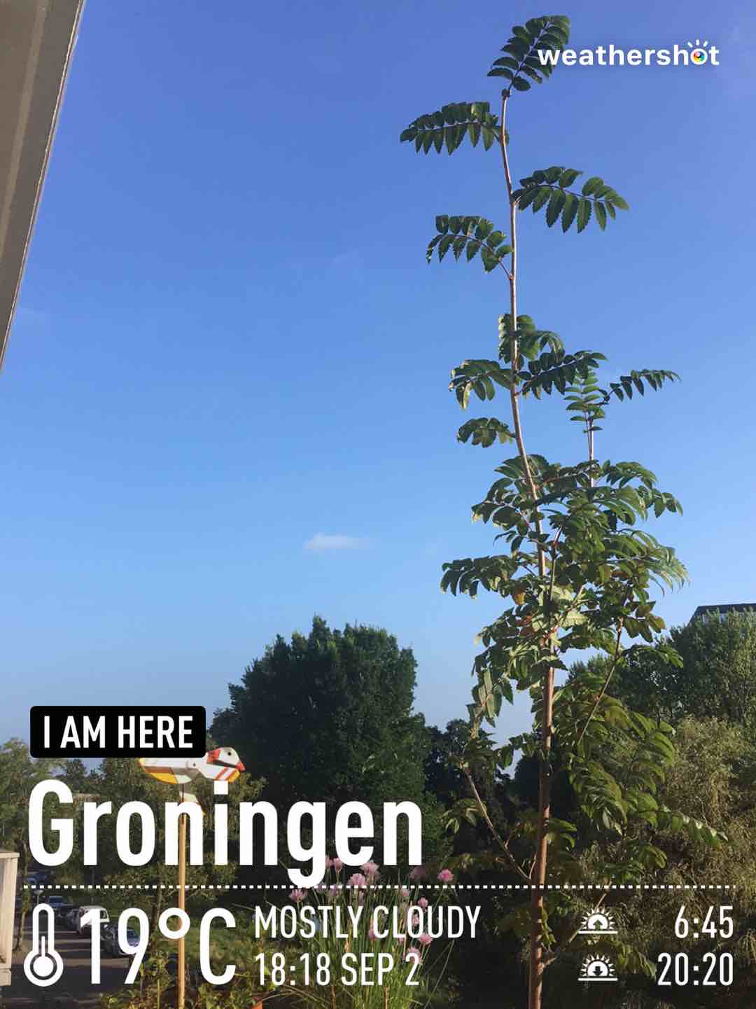 Cloudy weather near Groningen, 19°C — September 2, 2021 (community photo)