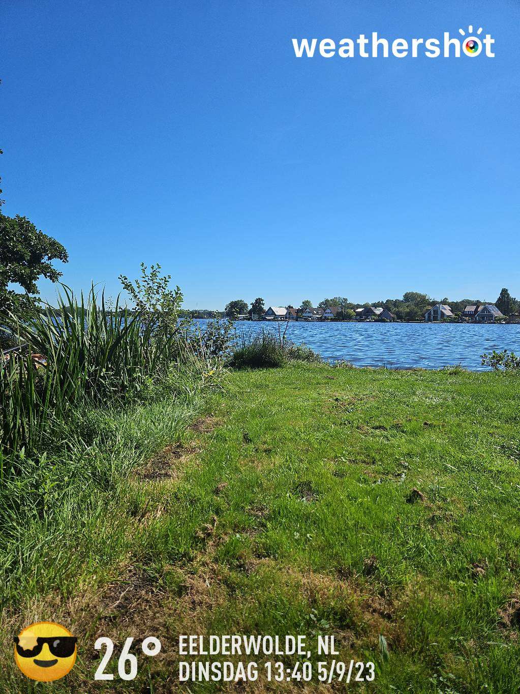 Sunny weather in Eelderwolde, 26°C — September 5, 2023 (community photo)