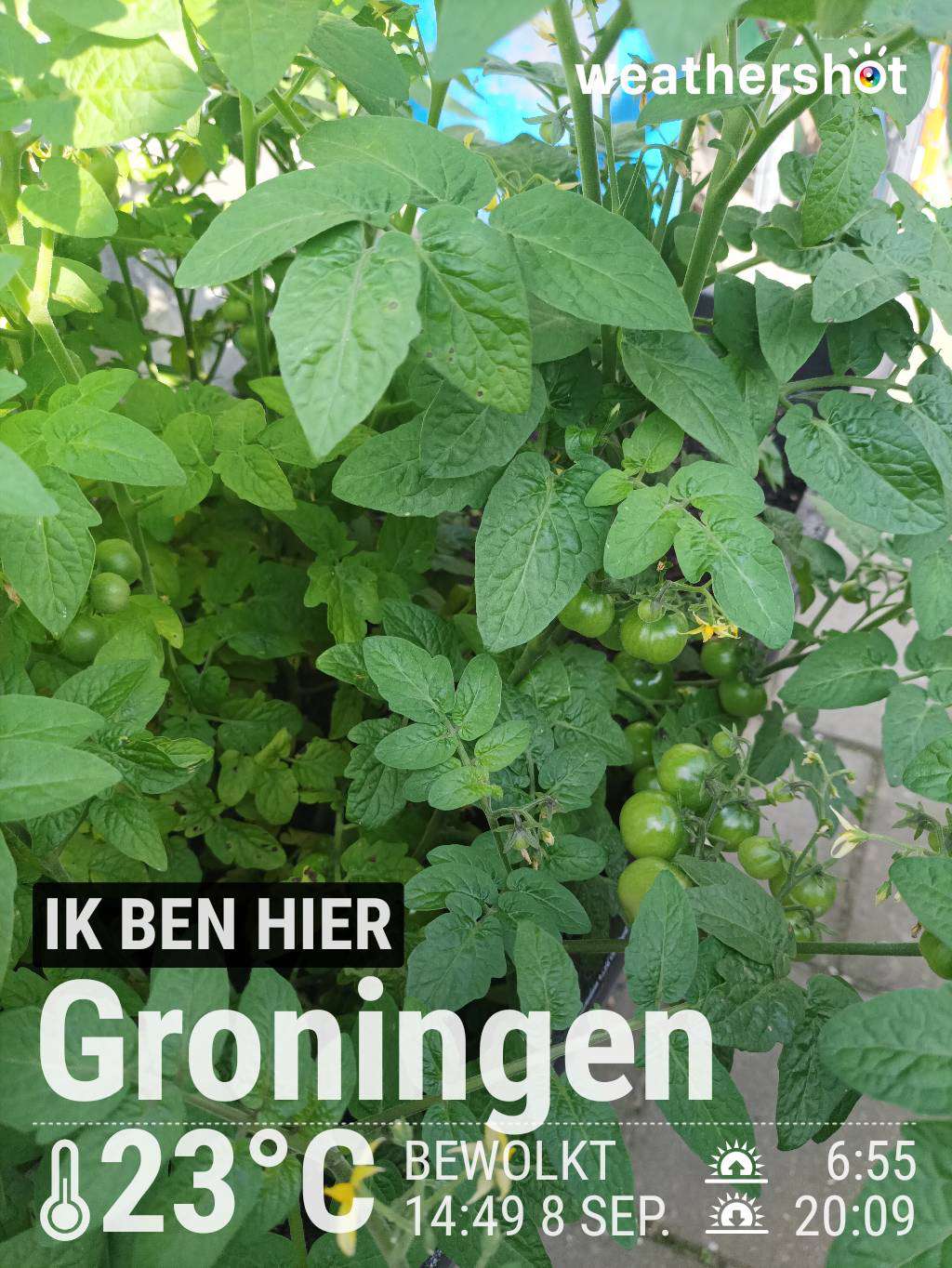Cloudy weather near Groningen, 23°C — September 8, 2024 (community photo)