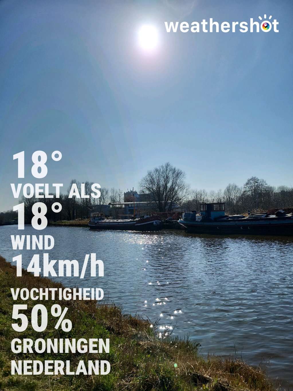 Sunny weather near Groningen, 18°C — March 8, 2025 (community photo)