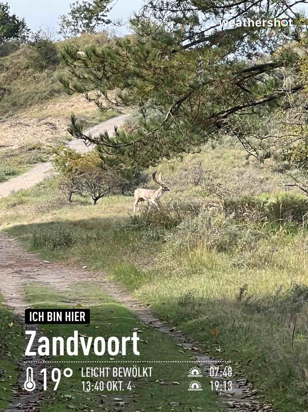 Partly cloudy weather in Zandvoort, 19°C — October 4, 2022 (community photo)