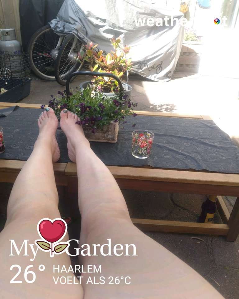 Sunny weather in Haarlem, 26°C — May 25, 2026 (community photo)