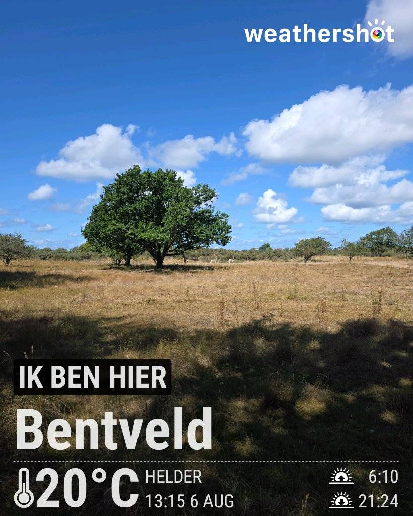 Sunny weather in Bentveld, 20°C — August 6, 2026 (community photo)