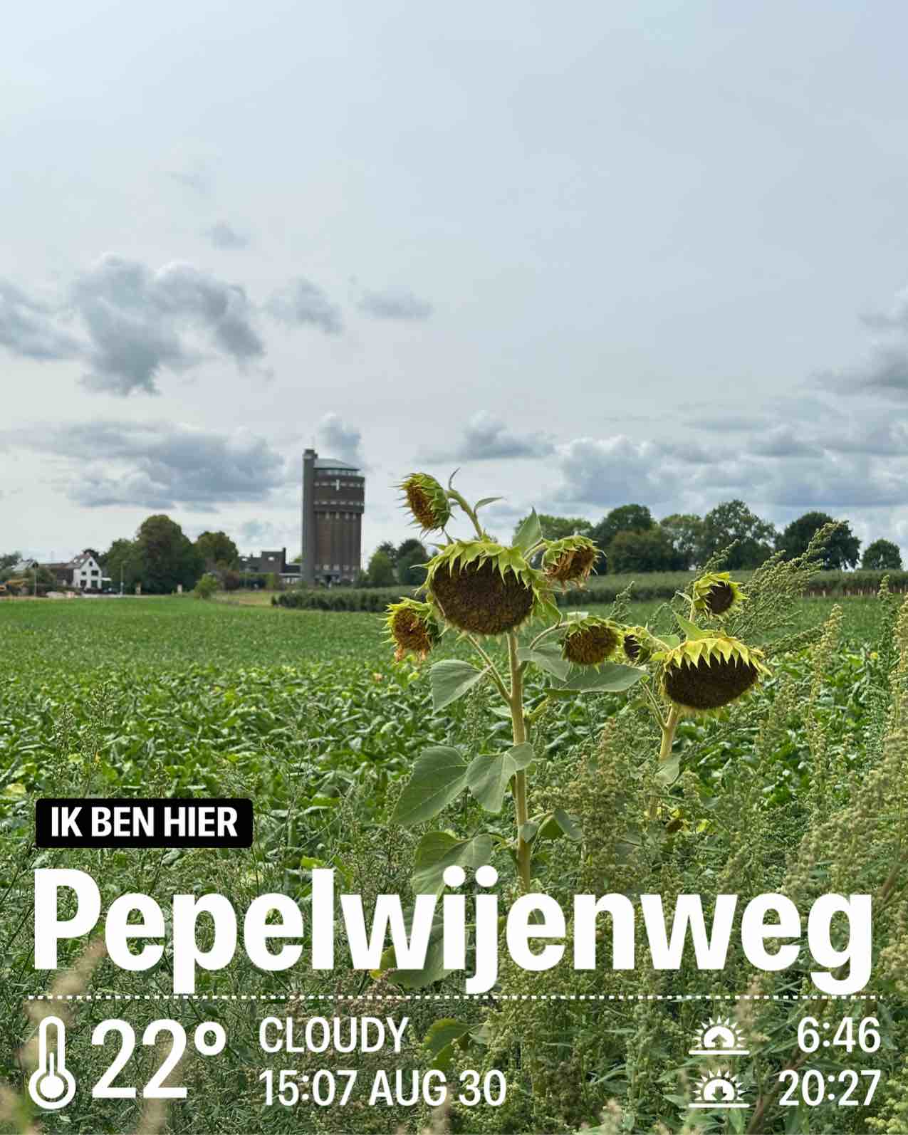 Cloudy weather in Schimmert, 22°C — August 30, 2026 (community photo)