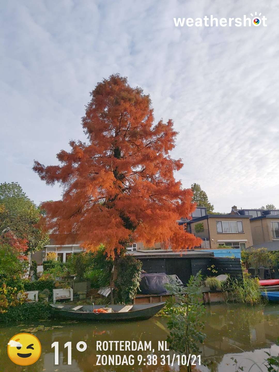 Cloudy weather in Rotterdam, 11°C — October 31, 2021 (community photo)