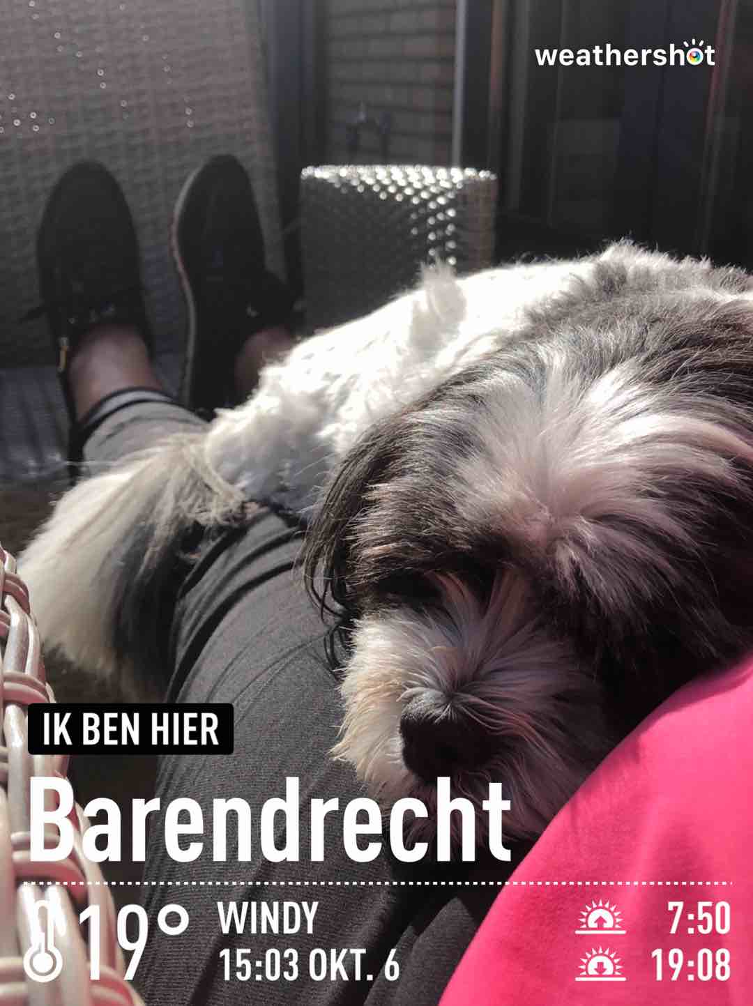 Clear weather in Barendrecht, 19°C — October 6, 2023 (community photo)