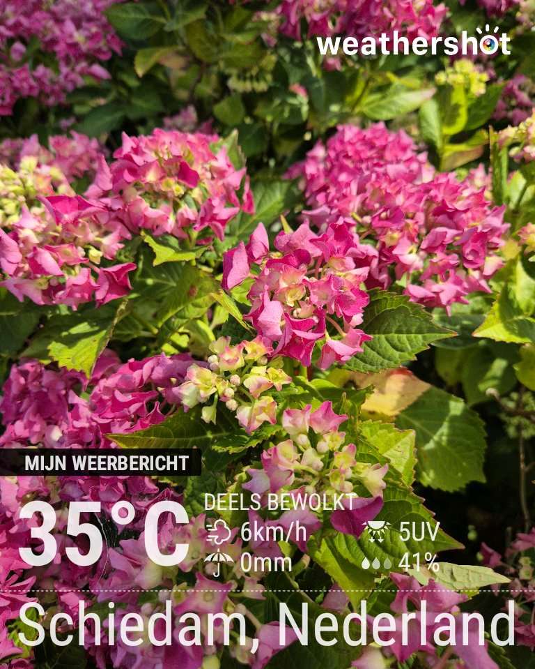 Partly cloudy weather in Schiedam, 35°C — June 26, 2026 (community photo)
