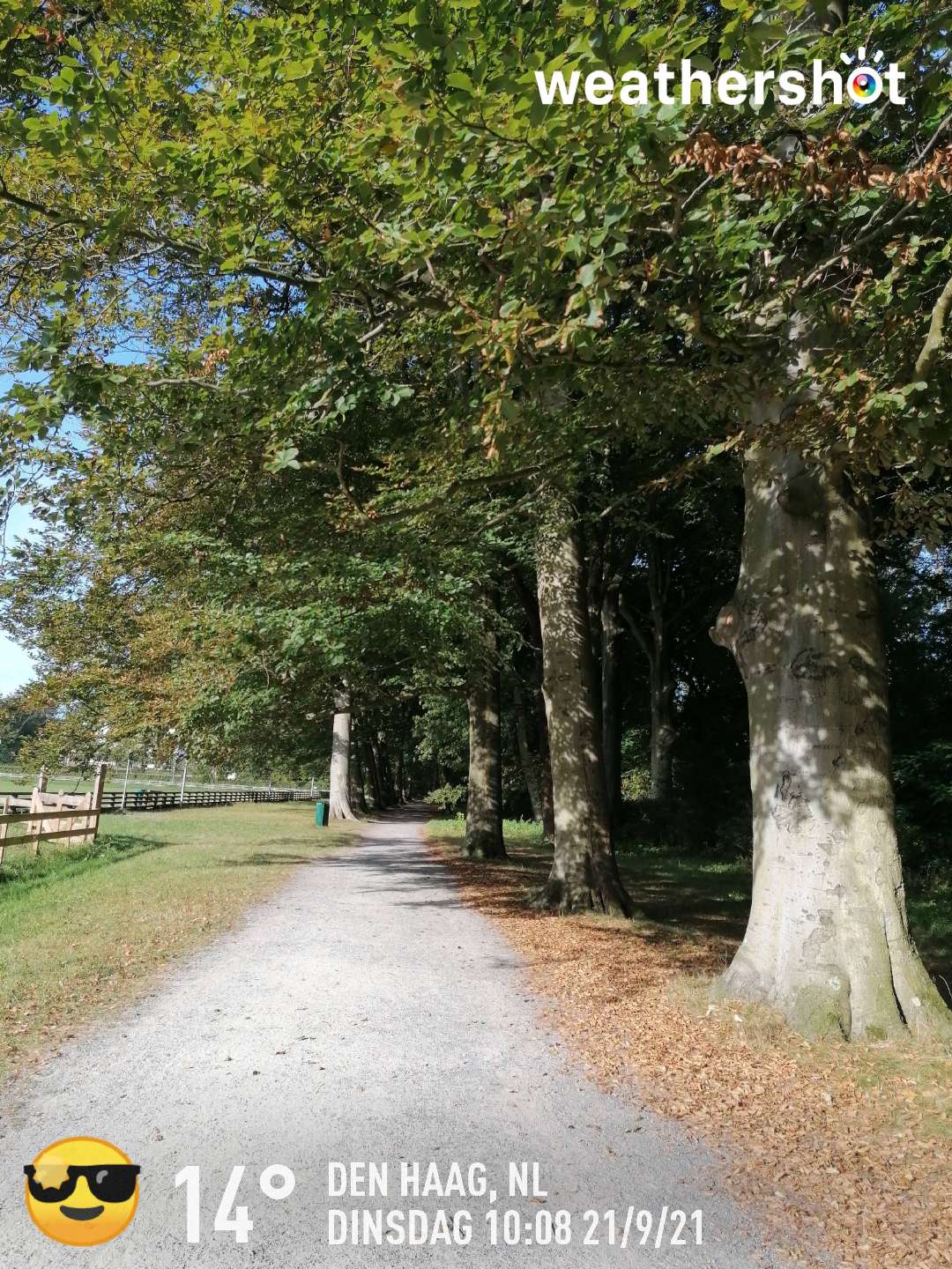 Clear weather in Den Haag, 14°C — September 21, 2021 (community photo)