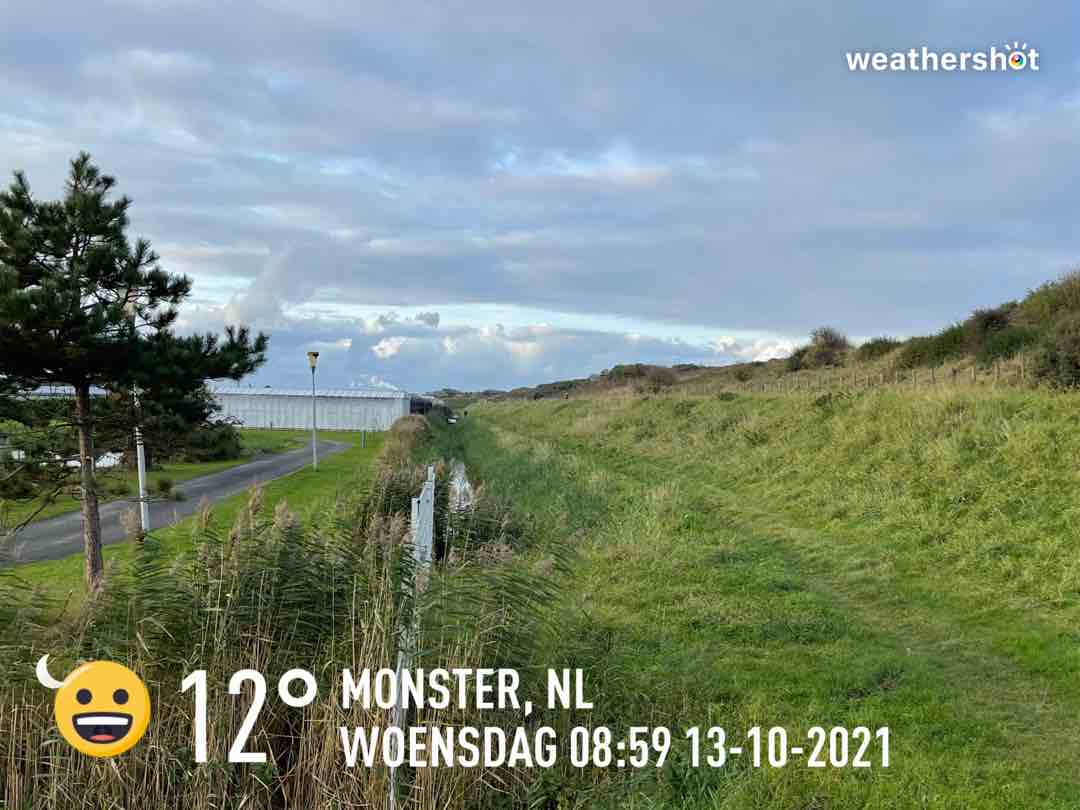 Clear night weather in Monster, 12°C — October 13, 2021 (community photo)