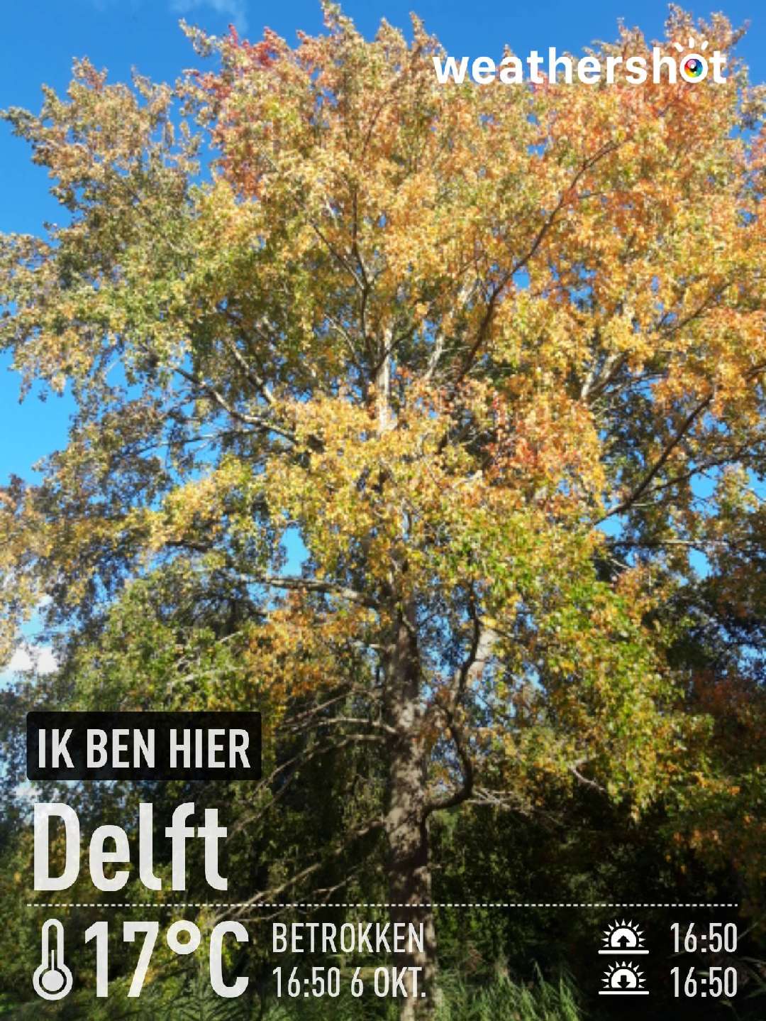 Weather in Delft, 17°C — October 6, 2022 (community photo)