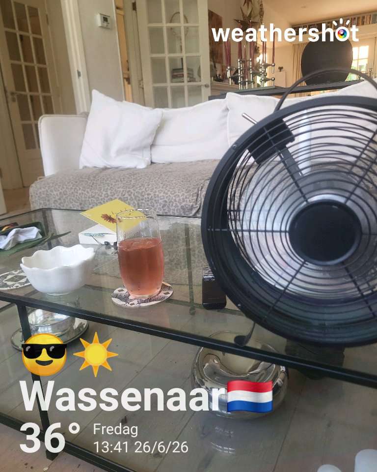 Clear weather in Wassenaar, 36°C — June 26, 2026 (community photo)