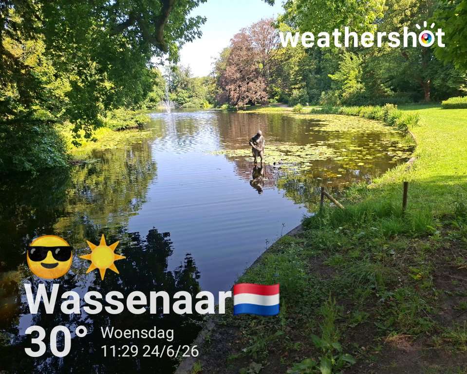 Sunny weather in Wassenaar, 30°C — June 24, 2026 (community photo)