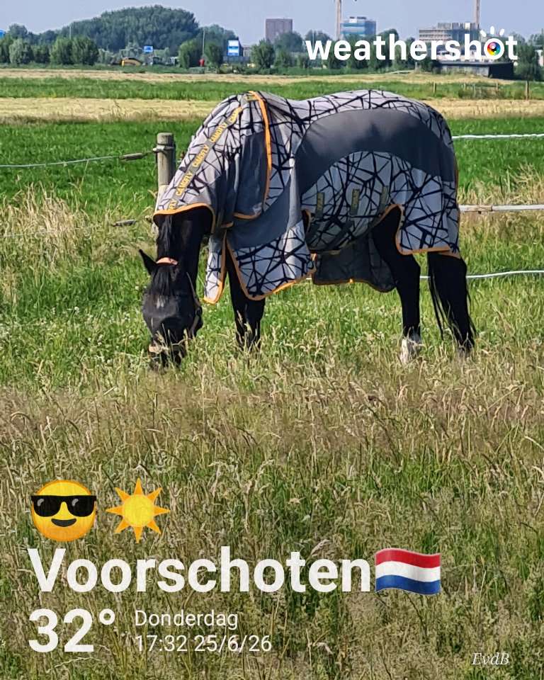 Sunny weather in Voorschoten, 32°C — June 25, 2026 (community photo)