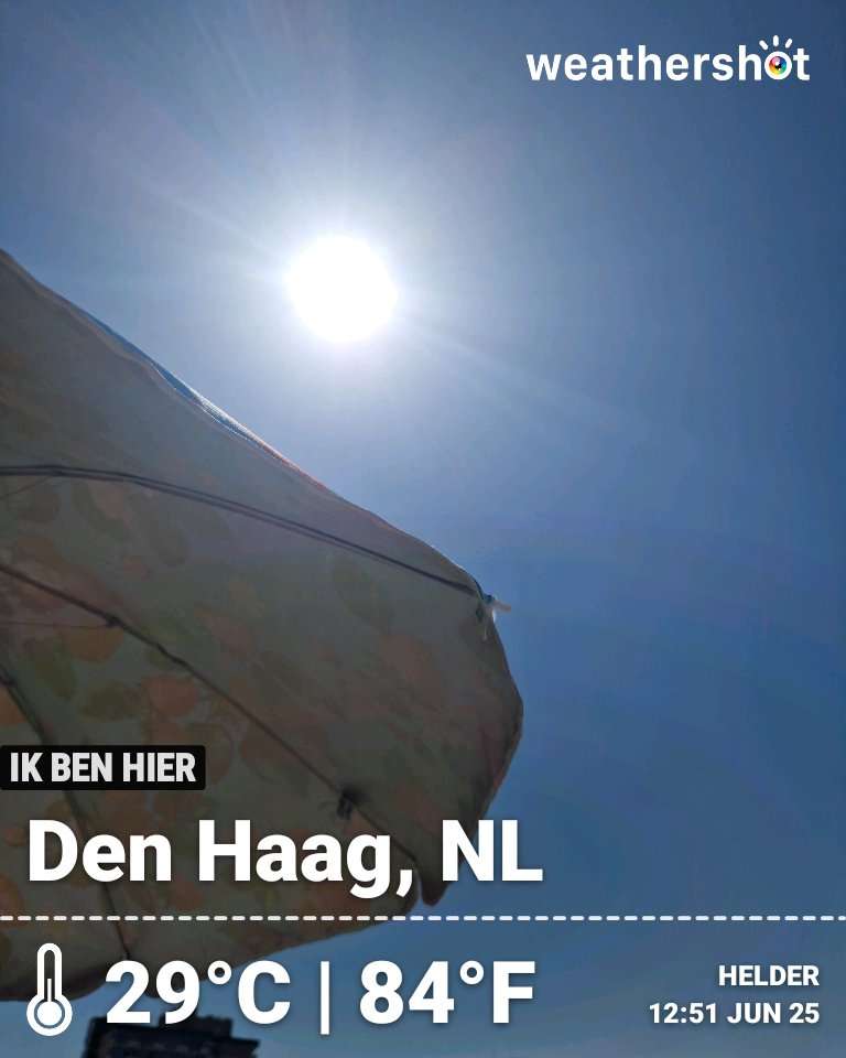 Sunny weather in Den Haag, 29°C — June 25, 2026 (community photo)