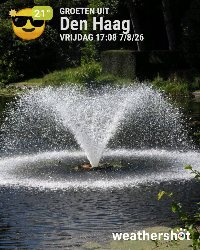 Sunny weather in Den Haag, 21°C — August 7, 2026 (community photo)