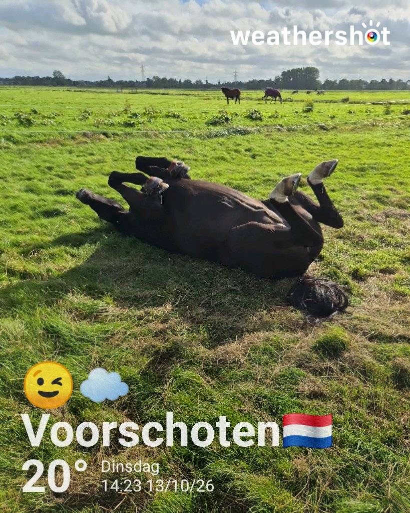 Cloudy weather in Voorschoten, 20°C — October 13, 2026 (community photo)