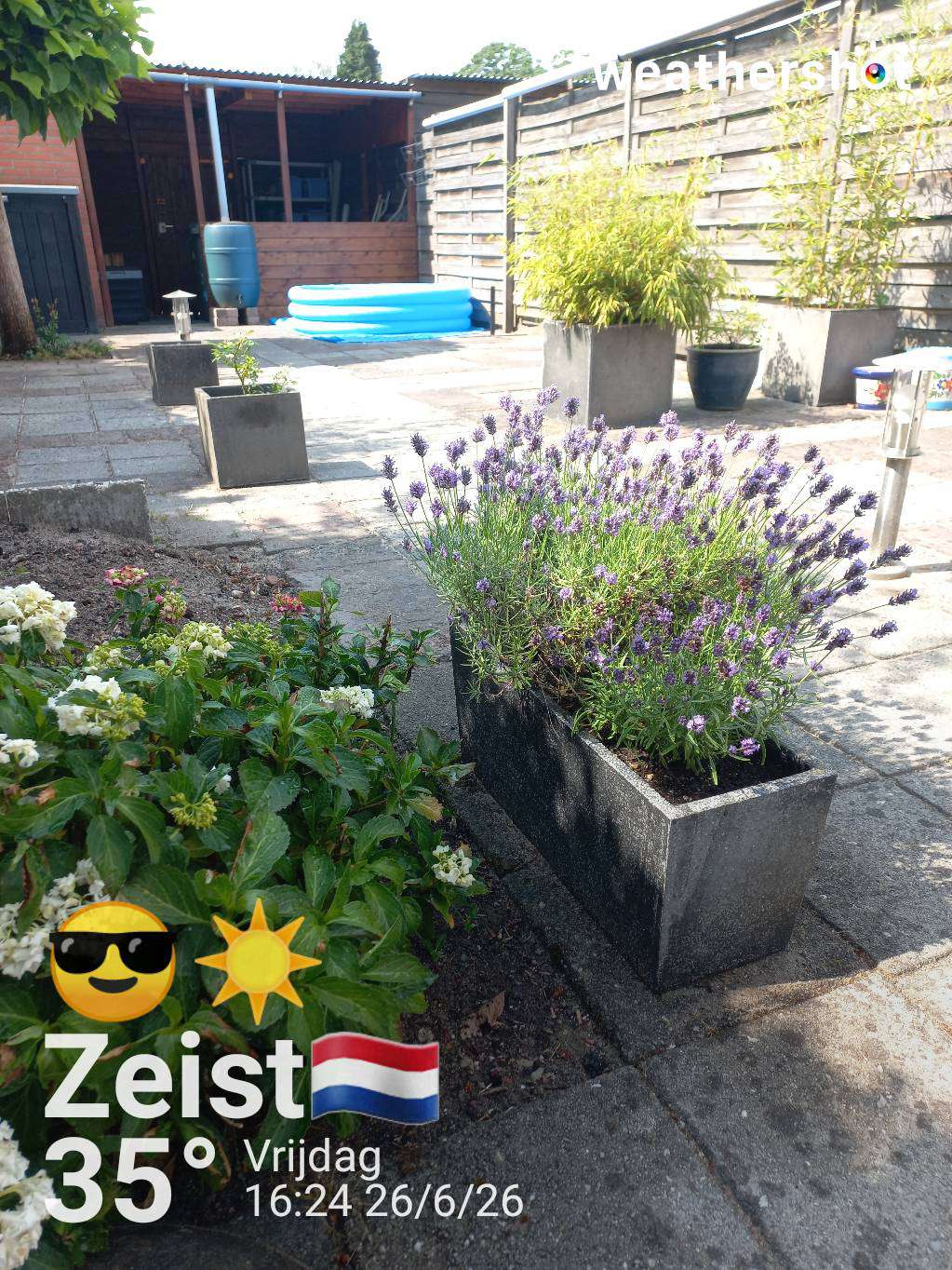 Clear weather in Zeist, 35°C — June 26, 2026 (community photo)