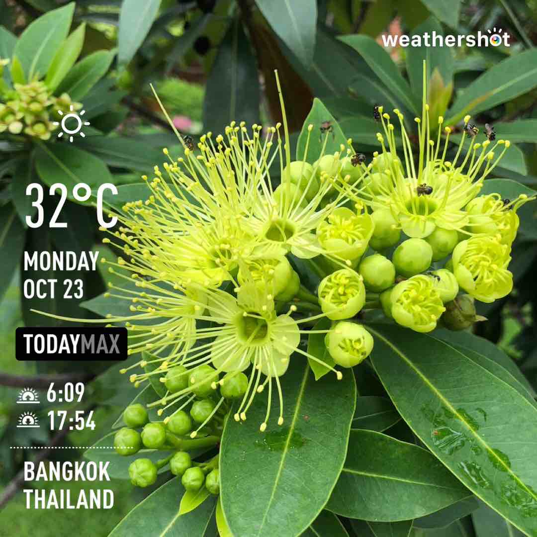 Clear weather in Krung Thep Maha Nakhon, 32°C — 23 ตุลาคม 2023 (community photo)