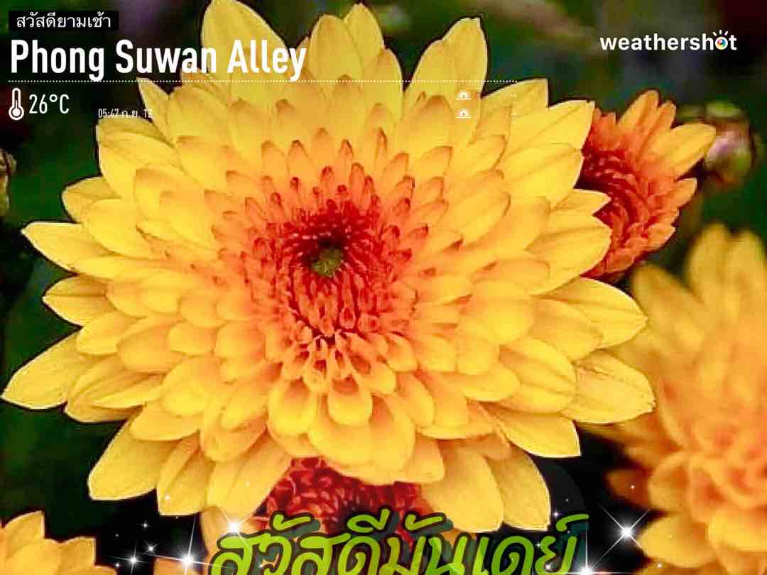 Weather in Amphoe Mueang Chiang Mai, 0°C — September 12, 2022 (community photo)