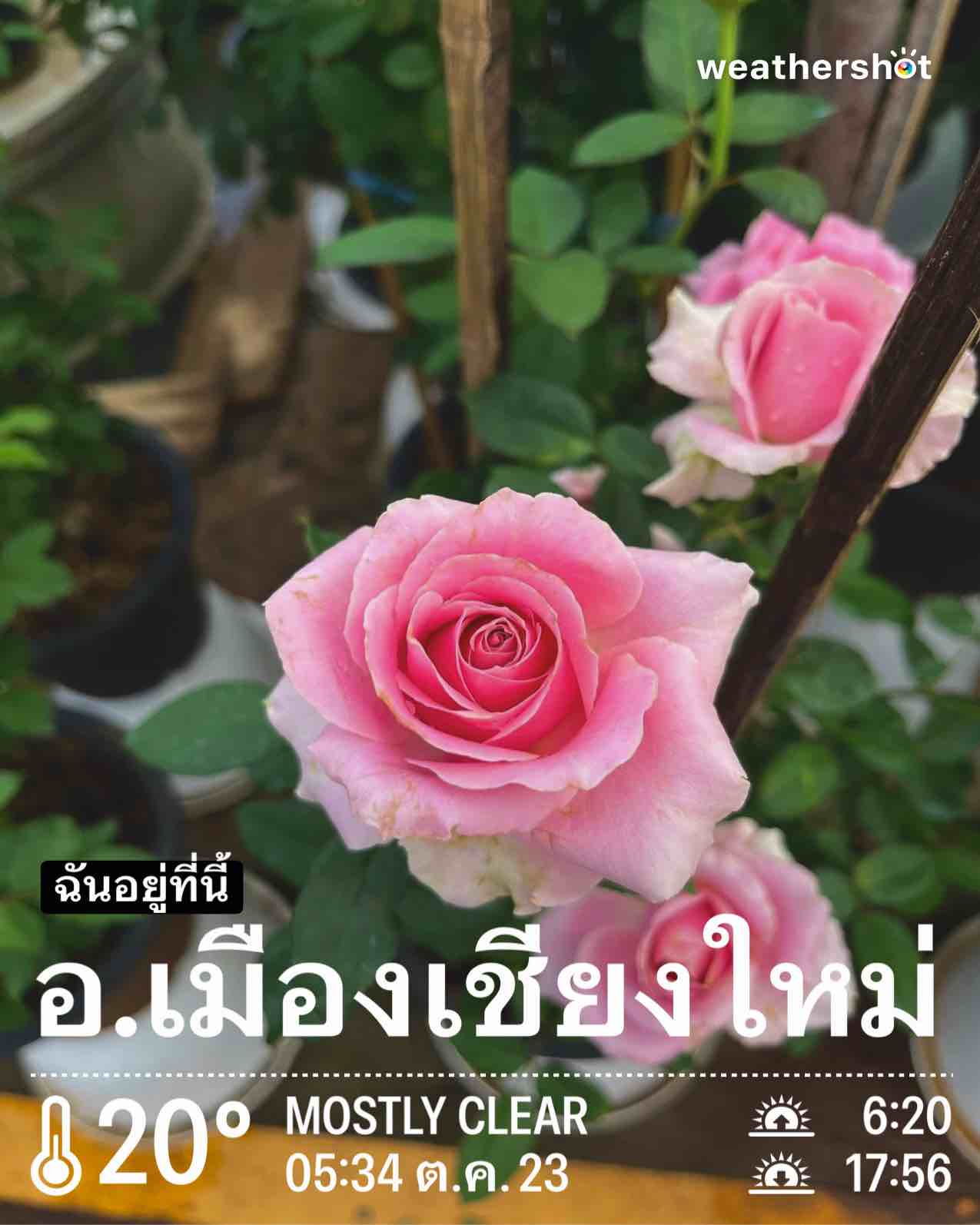 Weather in Mueang Chiang Mai District, 20°C — 23 ตุลาคม 2025 (community photo)