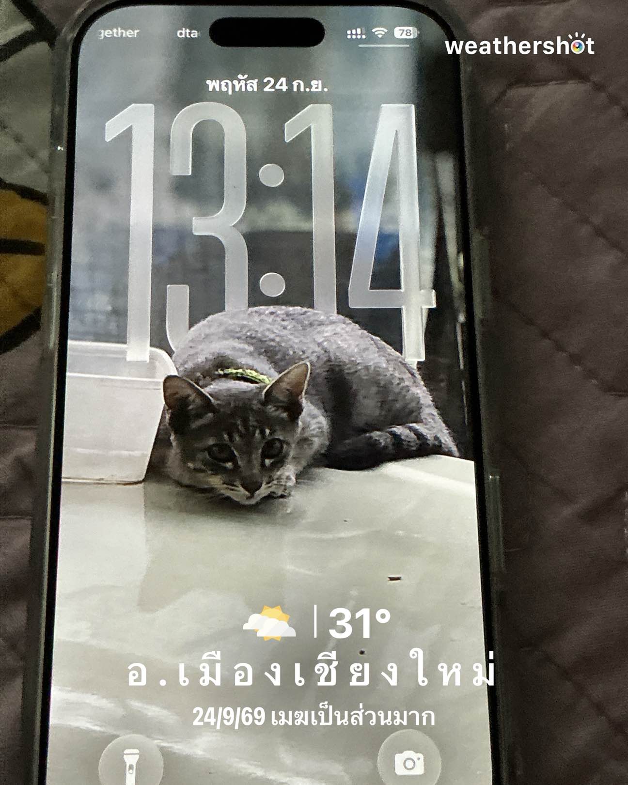 Cloudy weather in อ.เมืองเชียงใหม่, 31°C — 24 กันยายน 2026 (community photo)