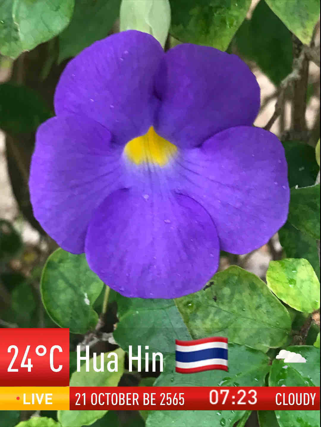 Cloudy weather in Tambon Hin Lek Fai, 24°C — October 21, 2022 (community photo)