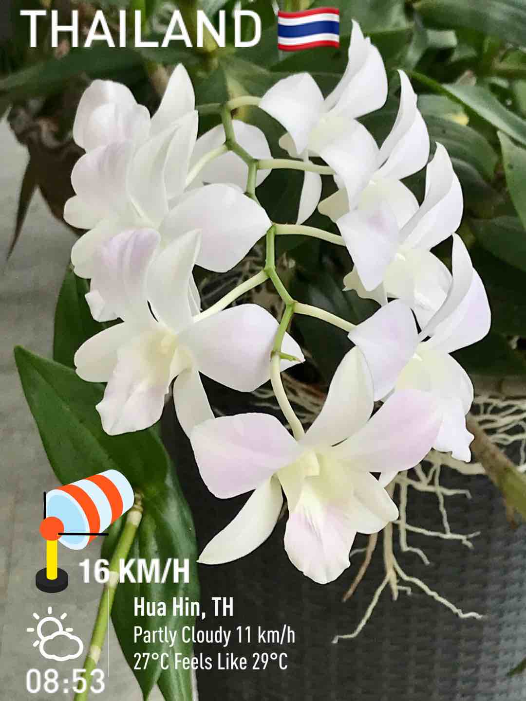 Partly cloudy weather in Tambon Hin Lek Fai, 27°C — October 26, 2022 (community photo)