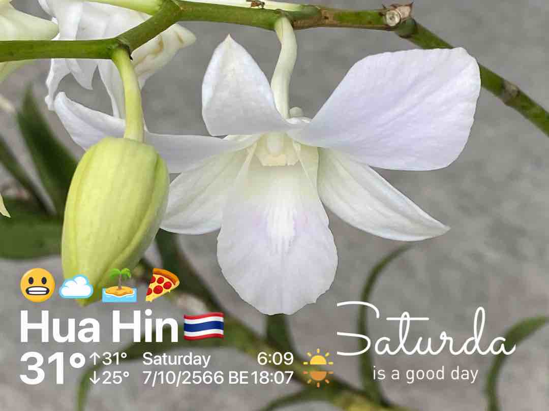 Cloudy weather in Tambon Hin Lek Fai, 29°C — October 7, 2023 (community photo)