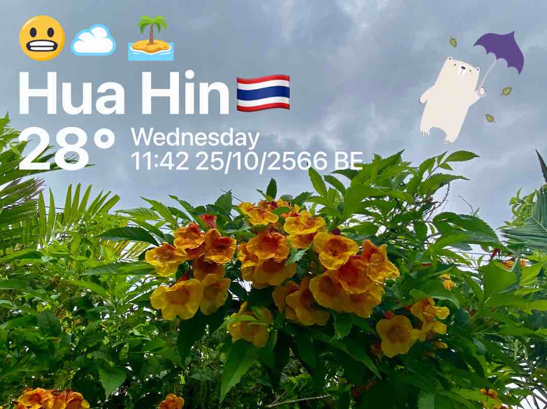 Cloudy weather in Tambon Hin Lek Fai, 29°C — 25 ตุลาคม 2023 (community photo)