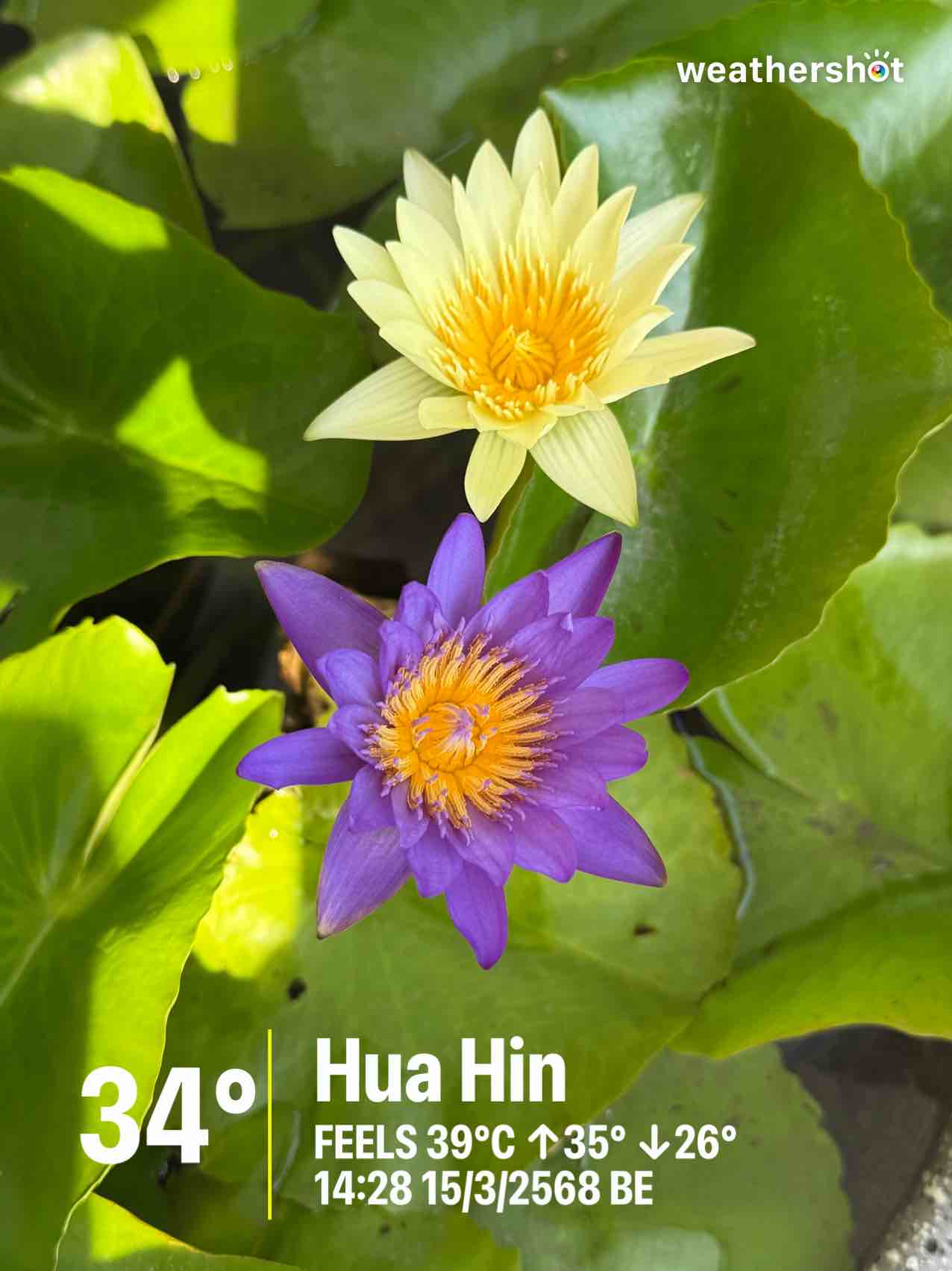 Weather in Tambon Hin Lek Fai, 34°C — March 15, 2025 (community photo)