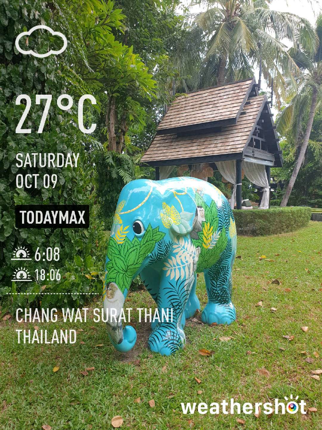Rainy night weather in Chang Wat Surat Thani, 25°C — October 9, 2021 (community photo)