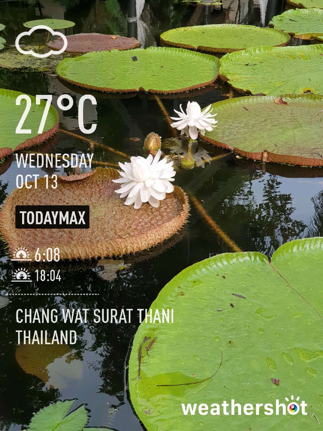 Rainy night weather in Chang Wat Surat Thani, 25°C — October 13, 2021 (community photo)