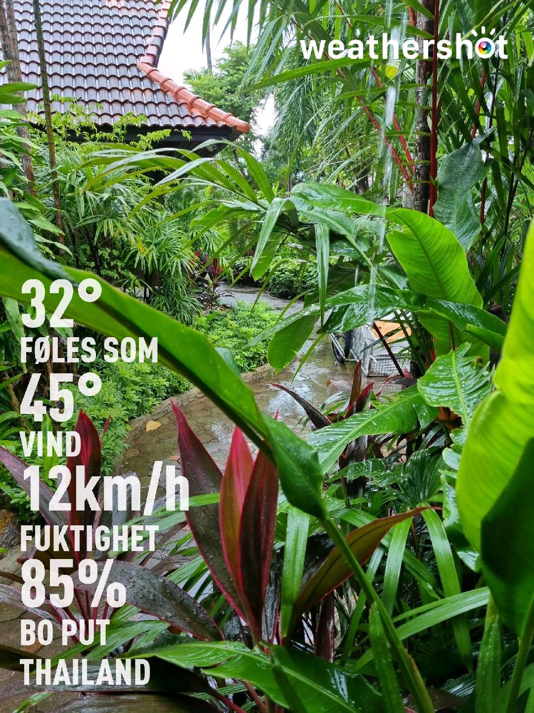 Rainy weather in Chang Wat Surat Thani, 32°C — August 2, 2022 (community photo)