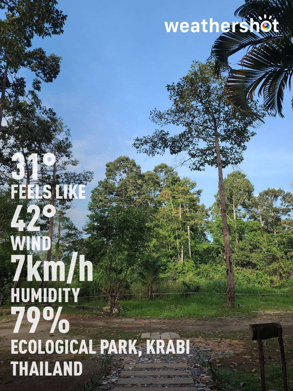 Rainy weather near Krabi, 31°C — December 22, 2023 (community photo)