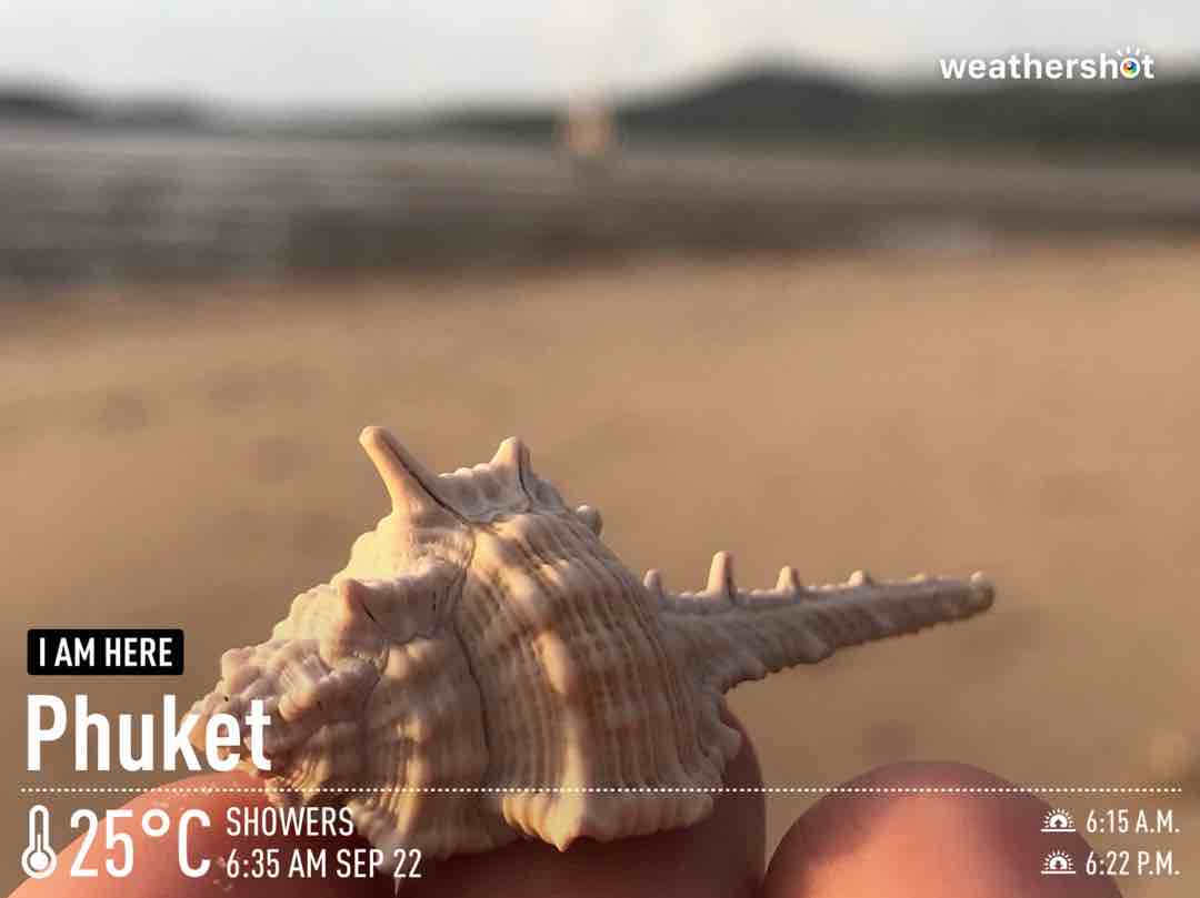 Cloudy weather in Tambon Wichit, 25°C — September 22, 2021 (community photo)